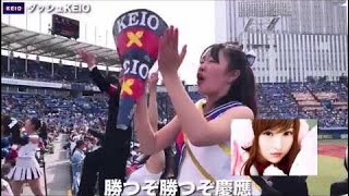 慶應大学野球の応援歌☆ダッシュKO（歌詞付）チアリーダーと応援団！