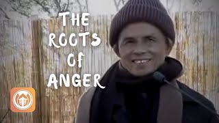 The Roots of Anger | Thich Nhat Hanh (short teaching video)