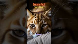 #03 Mimpi II Dream Facts #shorts