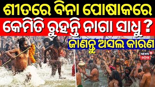 Mahakumbh Mela 2025 | ଶୀତରେ ବିନା ପୋଷାକରେ କେମିତି ରୁହନ୍ତି ନାଗା ସାଧୁ | Naga Sadhu | Prayagraj | N18V