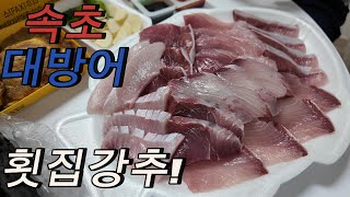 [4K]속초 대방어 횟집!