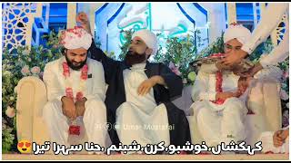 Hazrat Allama Raza Saqib Mustafai Sons Marriage Ceremony video...