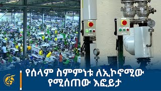 የሰላም ስምምነቱ ለኢኮኖሚው የሚሰጠው እፎይታ