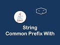 string common prefix with in java