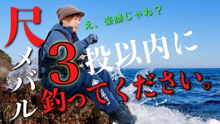 たった３投で尺メバルは釣れるのか？