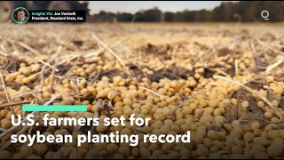 Farmers Set for Soybean Planting Record