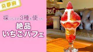 【京都府】【採りたて】3種類使った美味しい「いちごパフェ」のカフェを紹介