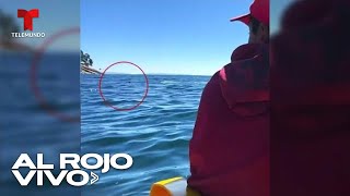 Turistas aseguran haber visto un pez con rostro humano o una sirena en el lago Titicaca