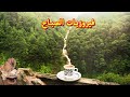 فيروز - فيروز الصباح - فيروزيات الصباح - اروع اغاني ارزة لبنان | The Best Fairuz Morning Song Vol 11