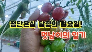 스마트팜 달향의 평범한 월요일 하루!