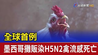 全球首例 墨西哥攤販染H5N2禽流感死亡