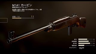 【雪】M1A1 カービン 武器紹介【CoD:WWII BETA】#20