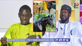 GANNDE BALEEBE invité THIERNO OUSMANE BA