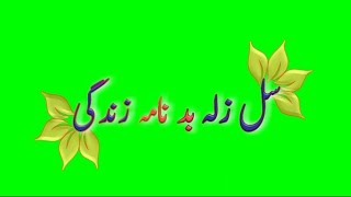 pashto green screen shayari || zma na gurii na kigi ghulama zindagii ||