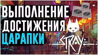 Stray | Достижение Царапки | Как получить царапки на пк версии?