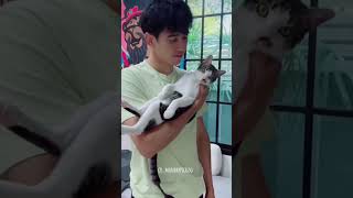 จุ๊บเอาๆนะค้า อิจฉาแมวเด้🤣 #ก๊อตจิรายุ #cat #มันเดย์แมวก๊อต #ทาสแมว #คนรักแมว #fyp #แมวน่ารัก