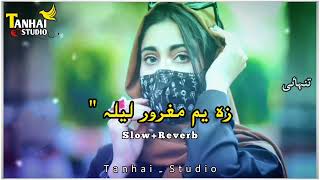 Za Yam Maghror Laila |Nazia Iqbal Poshto New Song |Poshto New 2023 Song |TikTok New Viral Song |