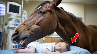 HORSE INVADES HOSPITAL AND PREVENTS BABY'S EUTHANASIA - WHAT HAPPENED NEXT