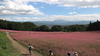 信州伊那　赤そばの里とそばの名店「行者そば梅庵」