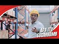 Apa Itu SugarBomb ??