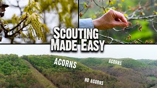 Scouting Made Easy: Early Season Hunting Tip (626)