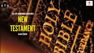 (Black Screen) NIV Audio Bible New Testament Complete - 1 of 2