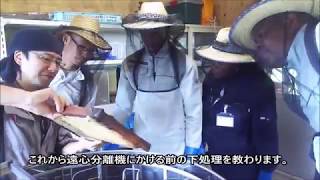 【丸森町】ザンビアからの農業研修２０１８(zambia＆marumori)耕野石塚養蜂園