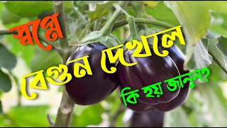 স্বপ্নে বেগুন দেখলে কি হয় | স্বপ্নের ব্যাখ্যা | স্বপ্নের তাবির | Sopno Gyan