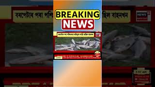 Dhubri  জিলাৰ চাপৰত মাছ পৰিবাহী বাহন দুৰ্ঘটনাগ্ৰস্ত #shorts