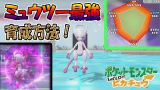 【ピカブイ】ミュウツー最強育成方法！