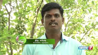 'Poovarasan tree' leaves helps to cure itching | Poovali | News7 Tamil