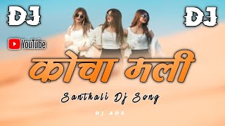 Kocha Mali Santhali Song || Dj Amit Dj Dalchan Dj Sameer