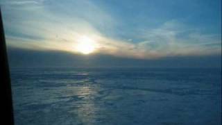 Censored Seal Song Reloaded