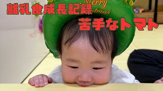 【生後7ヶ月】苦手なトマト/ベビーチェアが届いた日