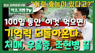 100일 동안 '이것' 먹으면 기억력 돌아온다 치매, 우울증 조현병 끝