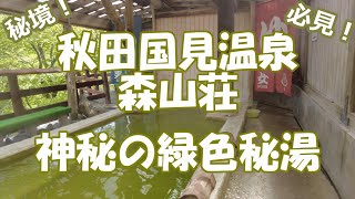 【国見温泉 森山荘】雪に閉ざされる緑色の秘湯！　#国見温泉　#森山荘　#緑色の温泉　#ワンちゃん用のお風呂　#駒ヶ岳縦走基地　#神秘の旅館　#湯の花　#石塚旅館　#秘湯　#素朴なお宿