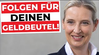 WAHLPROGRAMM der AFD - STEUERN und ABGABEN RUNTER? Mit WEIDEL mehr GELD im GELDBEUTEL?