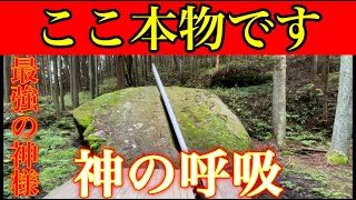 ⚠️ヤバい神社に出会いました⚠️巨岩に囲まれた聖地※奈良最強パワースポット『天乃石立神社』