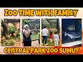 Animals Video| Rekomendasi Wisata Keluarga Di Medan | Sumatera Utara | Zoo Medan | Holiday