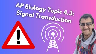 4.3 Signal Transduction - AP Biology