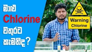 How To Use Chlorinated Water (ක්ලෝරින් වතුර) For Your Fish Tank FishFix SriLanka