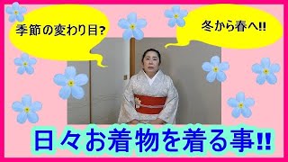 NO.12 日々お着物を着ること!!結城紬・大島紬・着る時等、お着物のお話してみました!!