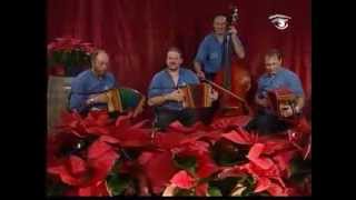 Schwyzerörgeliquartett Habkern Roman Polka