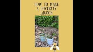 How to Make a Hoverfly Lagoon