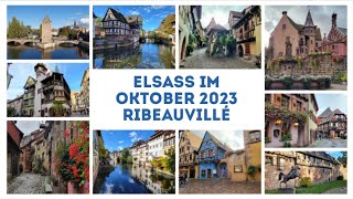 Elsass Oktober 2023 - Ribeauvillé (Rappoltsweiler), Camp Pierre de Coubertin, Schmetterlingsgarten