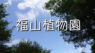 風景好的生態園區-「宜蘭-福山植物園」-夏日消暑趣