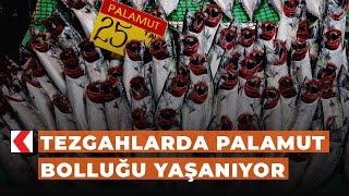 Tezgahlarda palamut bolluğu yaşanıyor