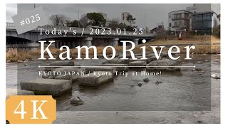 〓 4K 〓 2023.01.25.  KYOTO KAMO RIVER. 京都 鴨川 デルタ 出町橋 亀石 出町柳