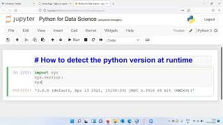 How to detect the python version at runtime?