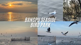 Day Trip Near Bangkok | Bangpu Seaside | Bird Park | Thailand